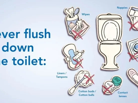 What Should not You Flush down in your toilet